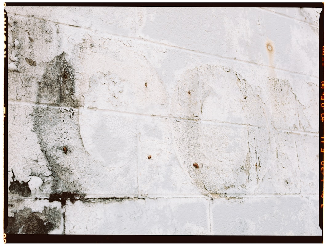 Water Extraction service in Fremont, CA