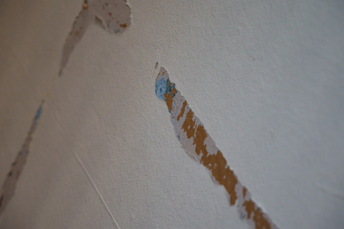 Flood Cleanup service in Fremont, CA